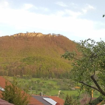 Alte Brennerei Apartment Bissingen an der Teck Luaran gambar