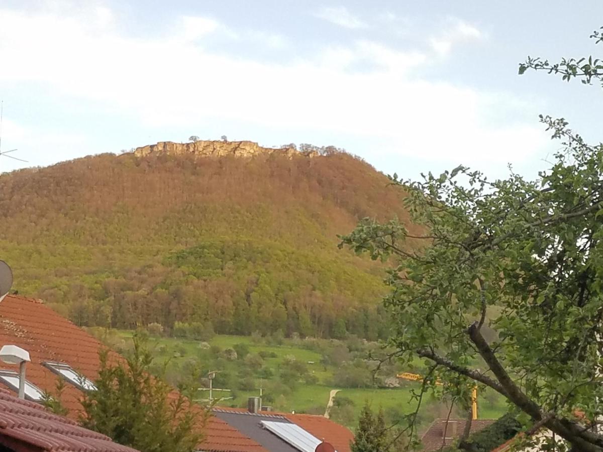 Alte Brennerei Apartment Bissingen an der Teck Luaran gambar